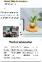 نبتة-الجاذبية-4.webp